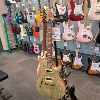 Paul Reed Smith - ZM2TG